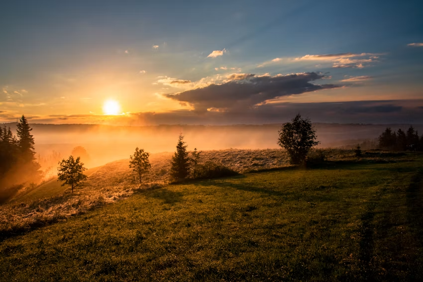 Golden morning light across a natural landscape